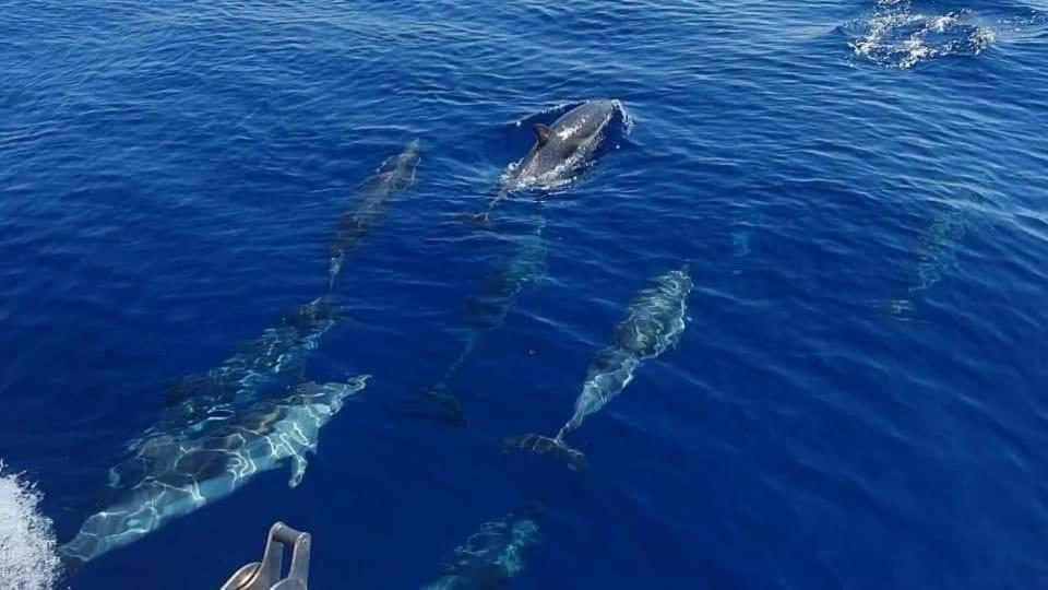 Dolcesosta B&B Marina Di Pulsano Kültér fotó