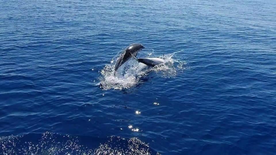 Dolcesosta B&B Marina Di Pulsano Kültér fotó