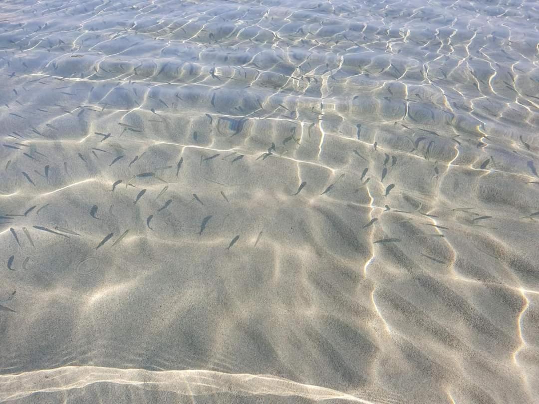 Dolcesosta B&B Marina Di Pulsano Kültér fotó